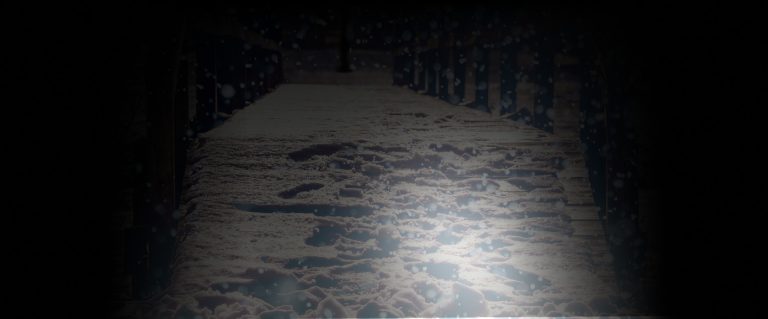 Fool’s Bluff Chapter 11 – Tracks