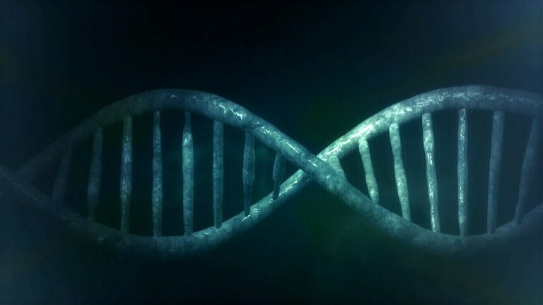 Fool’s Bluff Chapter 19 – Retrovirus