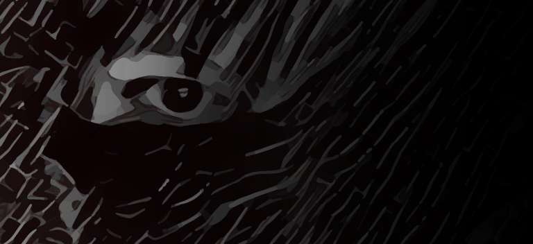 Fool’s Bluff Chapter 27 – Spy