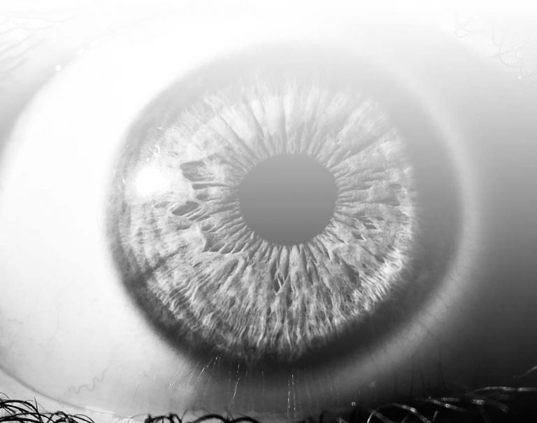 Fool’s Bluff Chapter 39 – Eyes